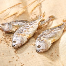 가정용 보리굴비(부세 大) 31cm 내외 (10미)